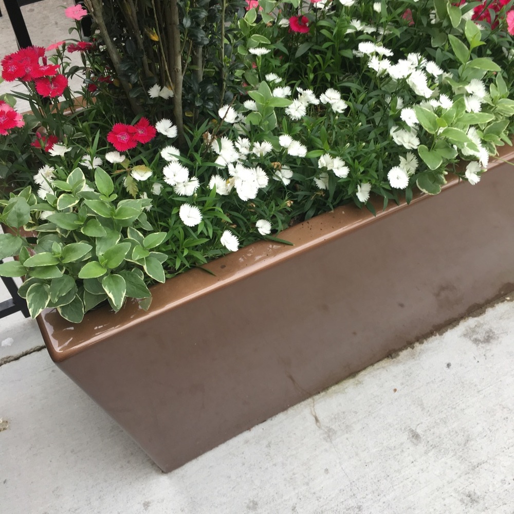 Meet your Posher, Pamela